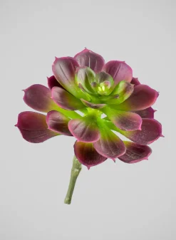 6in Long Purple Echeveria Pick, Case of 12