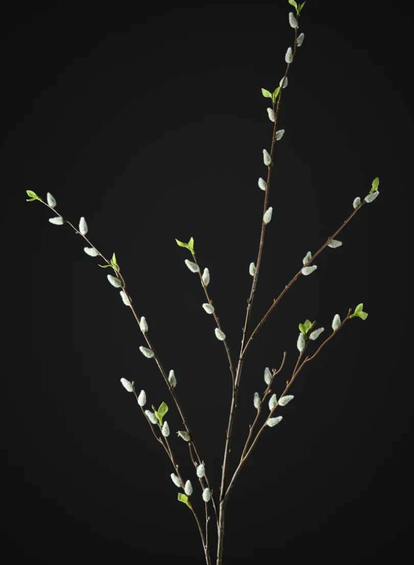 52in Long Pussy Willow Branch, Case of 12