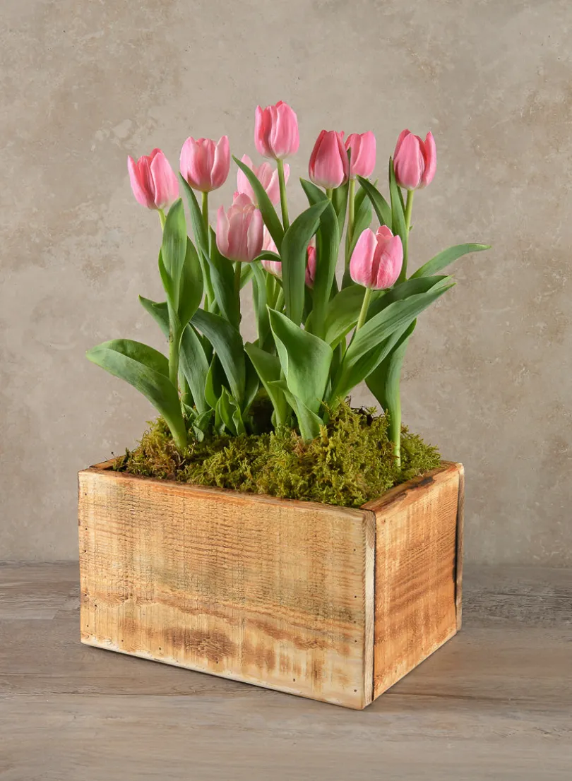 10in Long Raw Wood Deep Flower Box