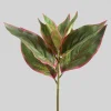 14in Long Reach Touch Red-Green Dieffenbachia Stem Pick, Case of 12