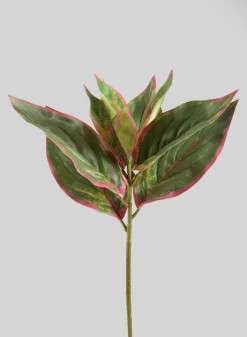 14in Long Reach Touch Red-Green Dieffenbachia Stem Pick, Case of 12