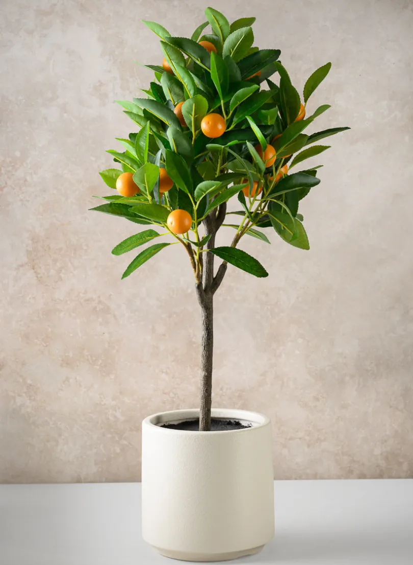 28in Long Real Touch Clementine Tree In a White Pot