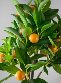28in Long Real Touch Clementine Tree In a White Pot