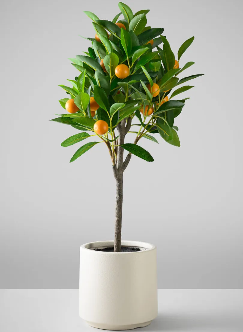 28in Long Real Touch Clementine Tree In a White Pot