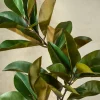 50in Long Real Touch Magnolia Leaves Spray, Case of 6