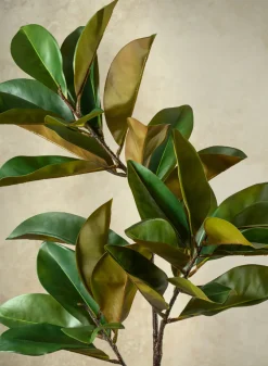 50in Long Real Touch Magnolia Leaves Spray, Case of 6