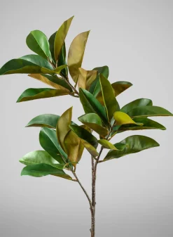 50in Long Real Touch Magnolia Leaves Spray, Case of 6