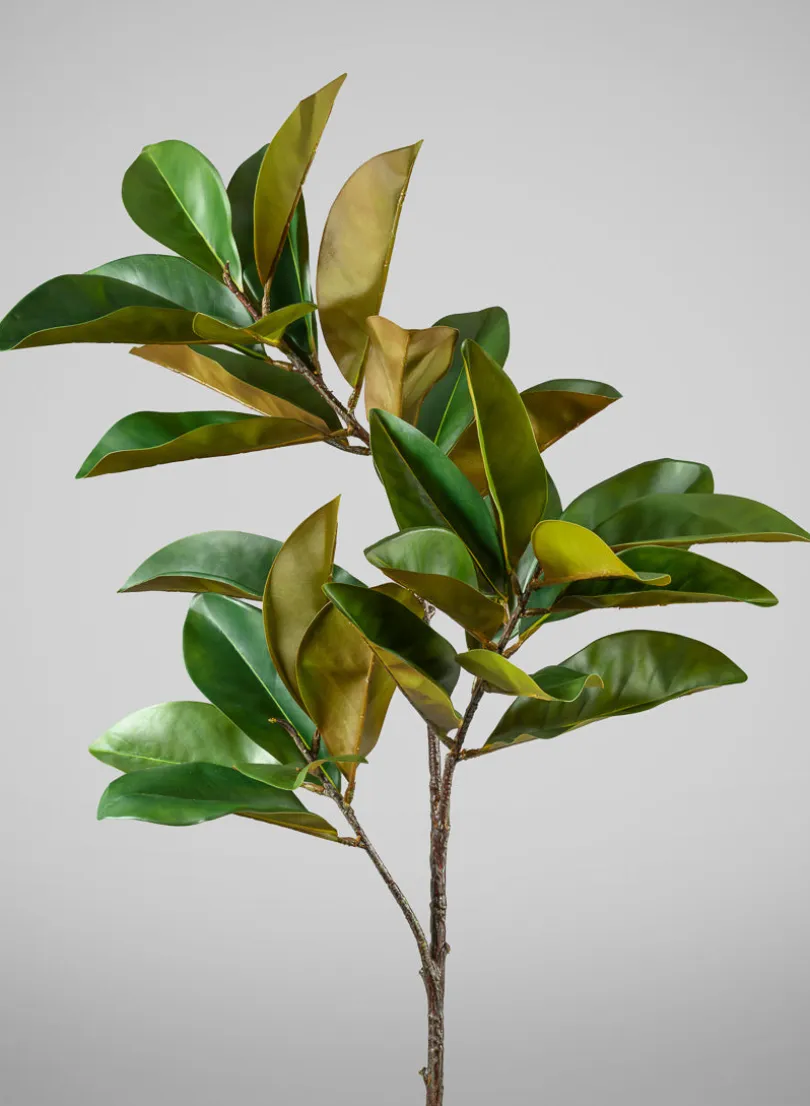 50in Long Real Touch Magnolia Leaves Spray, Case of 6