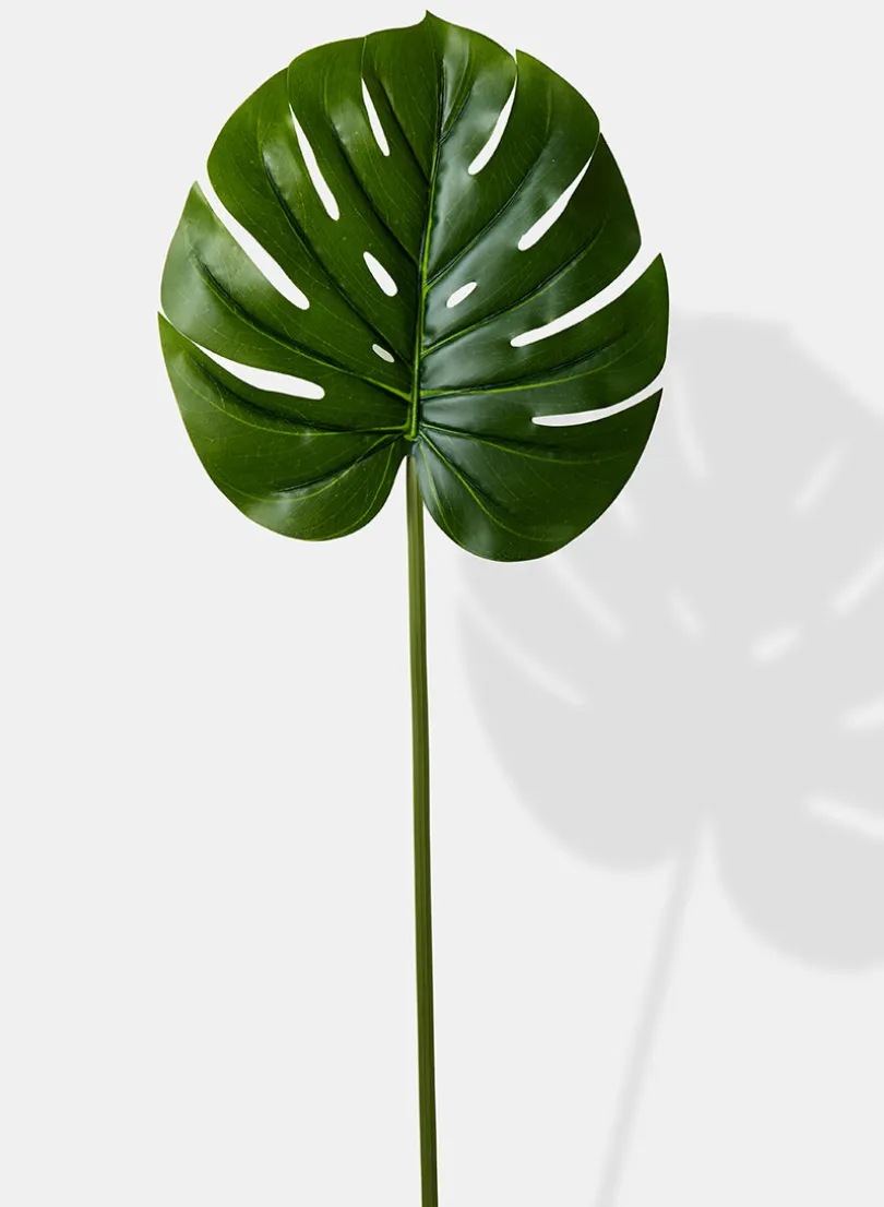 26in Long Real Touch Monstera Leaf, Case of 12