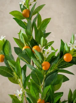 29in Long Real Touch Orange Spray, Case of 6