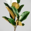 34in Long Real Touch Real Look Blooming Magnolia Stem, Case of 6