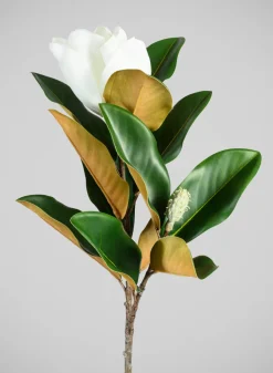34in Long Real Touch Real Look Blooming Magnolia Stem, Case of 6