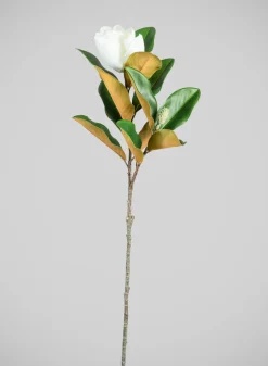 34in Long Real Touch Real Look Blooming Magnolia Stem, Case of 6