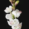 23in Long Real Touch Real Look Cymbidium Orchid Stem in White, Case of 12