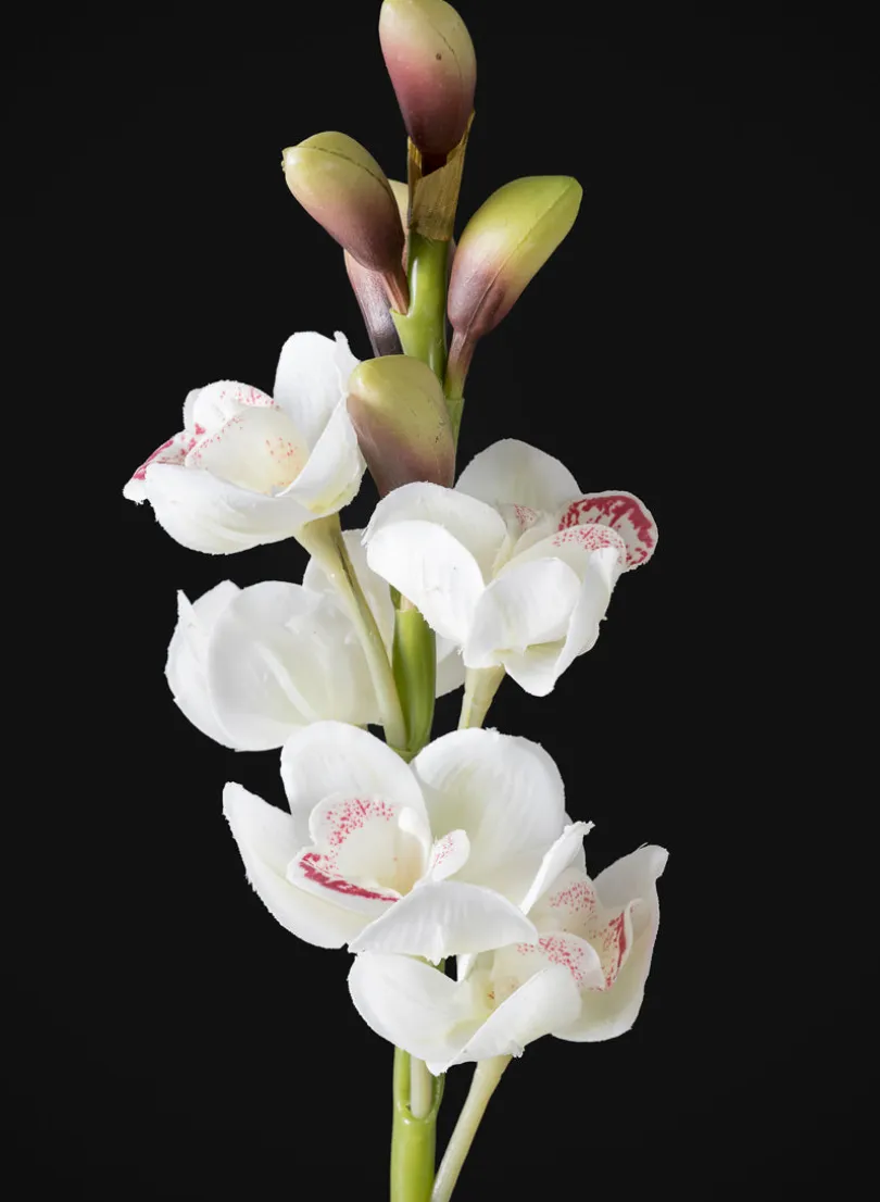 23in Long Real Touch Real Look Cymbidium Orchid Stem in White, Case of 12