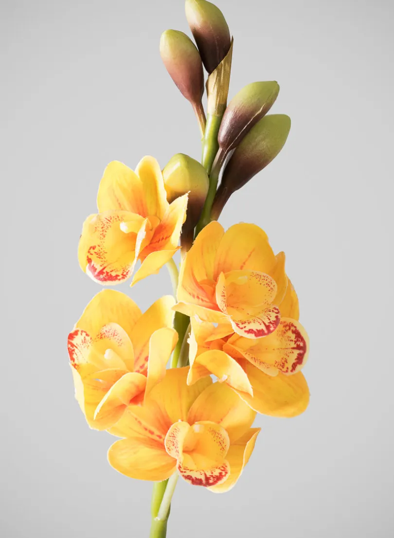 23in Long Real Touch Real Look Cymbidium Orchid Stem, Burnt Yellow, Case of 12