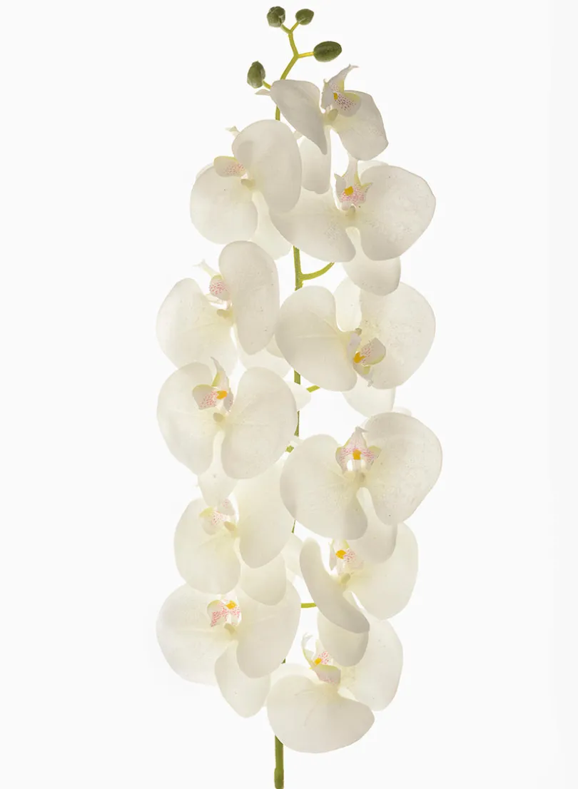 55in Long Real Touch White Glitter Phalaenopsis Orchid Stem, Bundle of 12