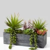 12in Long Rectangular Planter with Mixed Succulents
