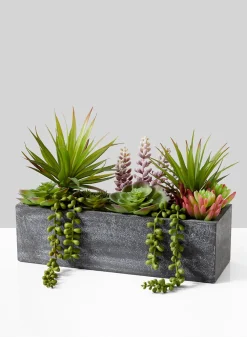 12in Long Rectangular Planter with Mixed Succulents