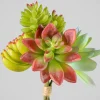 7in Long Red and Green Echeveria Spray, Case of 12