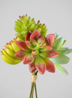 7in Long Red and Green Echeveria Spray, Case of 12