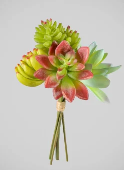 7in Long Red and Green Echeveria Spray, Case of 12