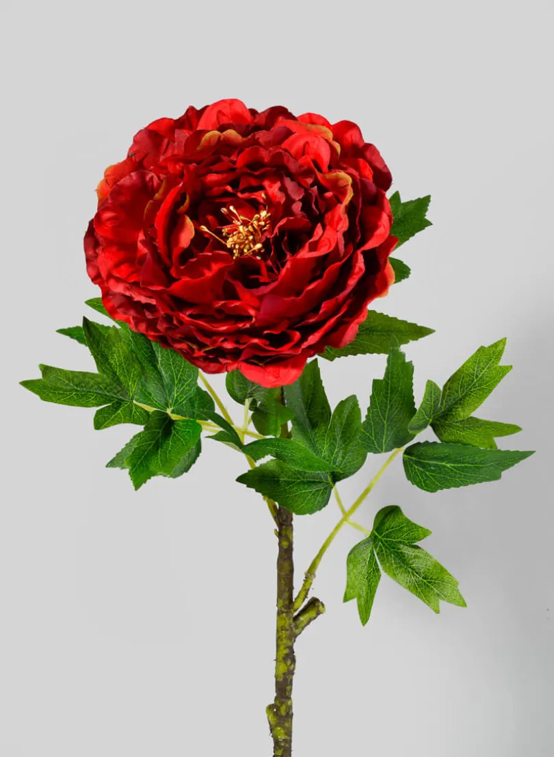 26in Long Red Charm Peony Stem, Case of 12