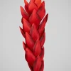 29in Long Red Ginger Stem, Case of 12