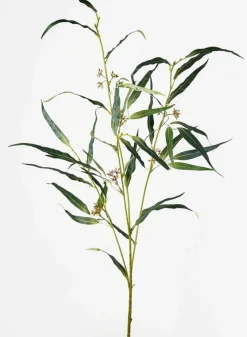 46in Long Red Ironbark Eucalyptus Spray, Case of 12
