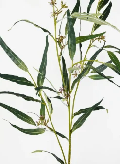46in Long Red Ironbark Eucalyptus Spray, Case of 12