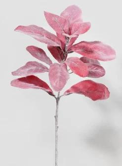 14in Long Red Lamb's Ear Spray, Case of 12