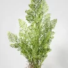 35in Long Rooted Fern Stem, Case of 12