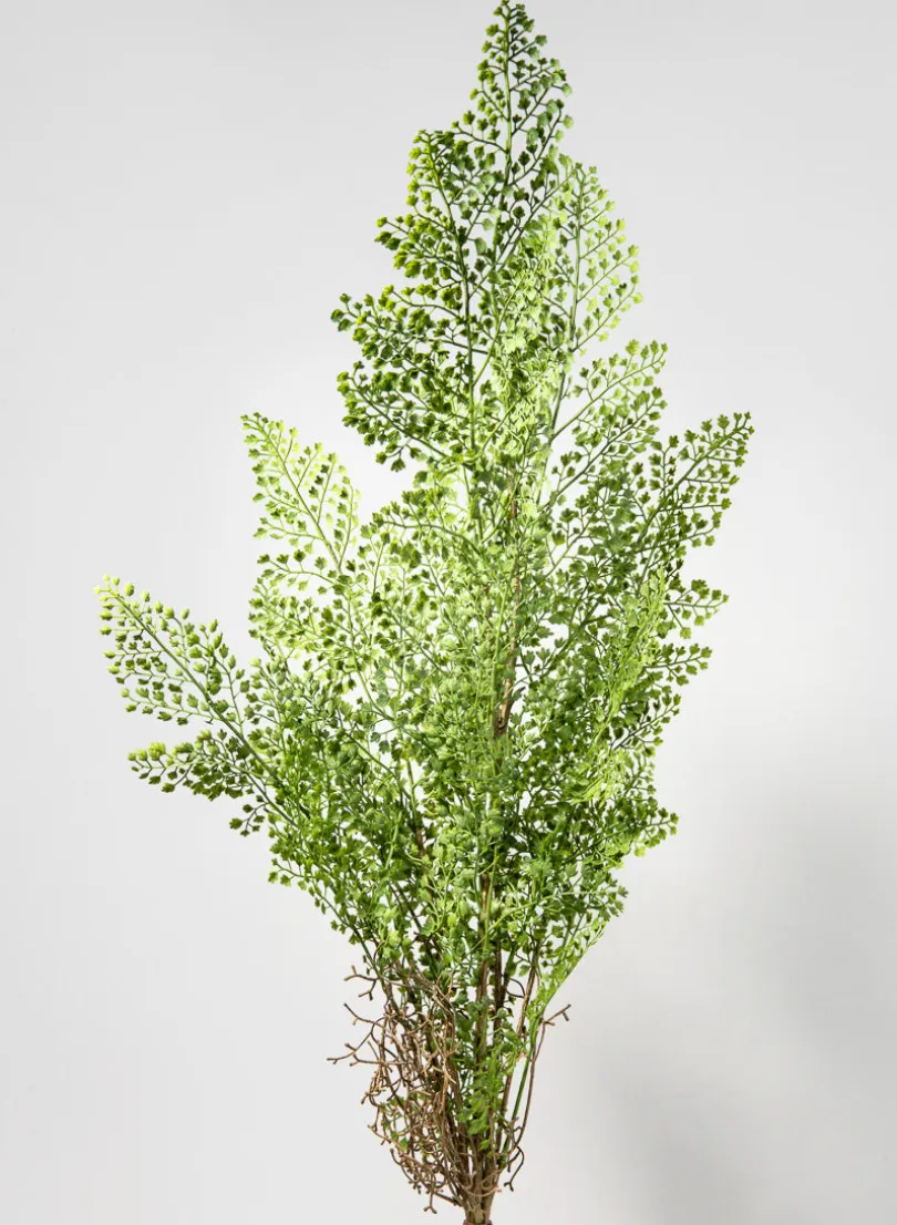 35in Long Rooted Fern Stem, Case of 12