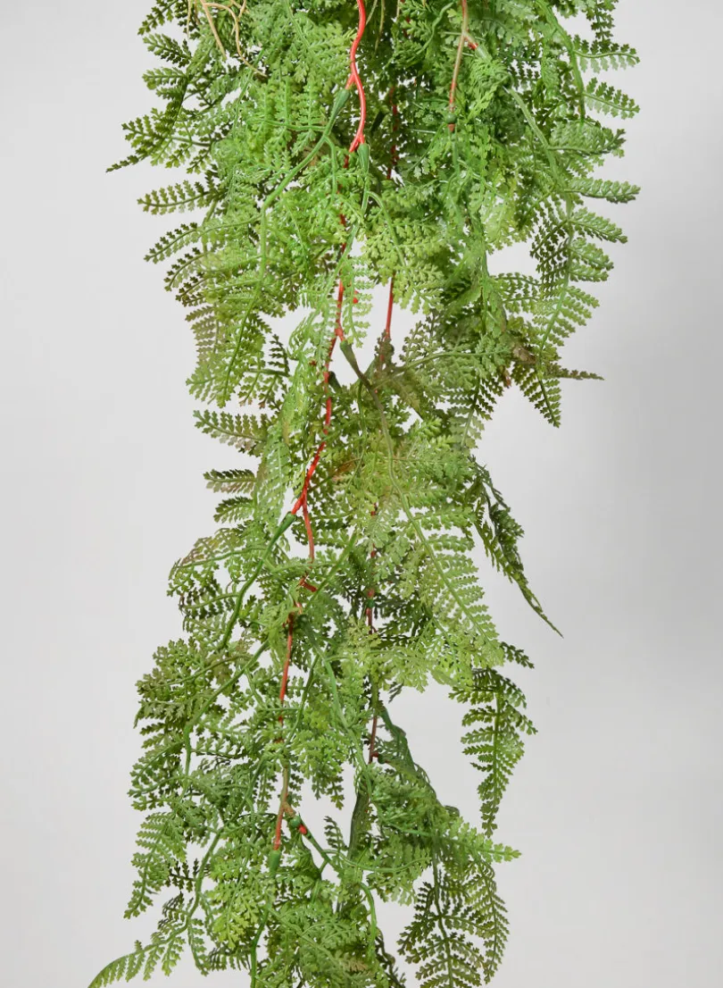 44in Long Rooted Rainforest Fern Hanging, Case of 12