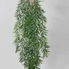 40in Long Rosemary Grass Hanging, Case of 12