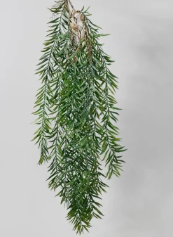 40in Long Rosemary Grass Hanging, Case of 12