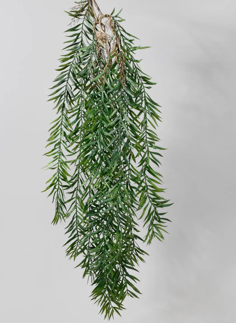 40in Long Rosemary Grass Hanging, Case of 12