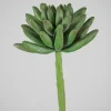 5in Long Senecio Succulent Pick, Case of 12