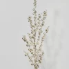 35in Long Shiny Champagne Berry Spray, Case of 12
