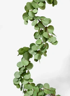 63in Long Silver Dollar Eucalyptus Garland