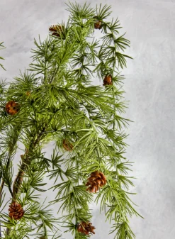 47in Long Single Pinecone Stem