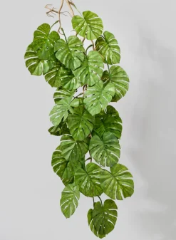 38in Long Split Leaf Philodendron Garland, Case of 12