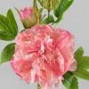 22in Long Spring Blooming with Buds Pink Peony Stem, Case of 12