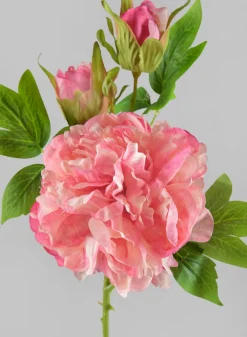 22in Long Spring Blooming with Buds Pink Peony Stem, Case of 12