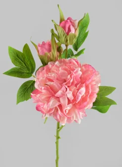 22in Long Spring Blooming with Buds Pink Peony Stem, Case of 12