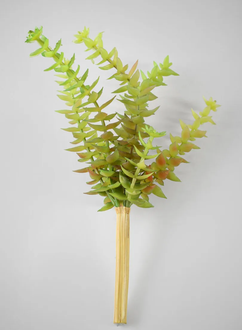 8in Long String of Buttons Succulent Pick, Case of 12