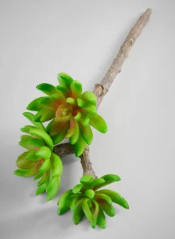 12in Long Three Head Echeveria Spray, Case of 12