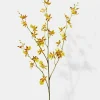 42in Long Tiger Orchid Spray, Case of 12