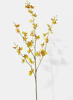 42in Long Tiger Orchid Spray, Case of 12