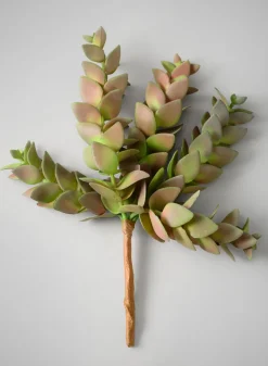 10in Long Trailing Succulent Pick, Case of 12